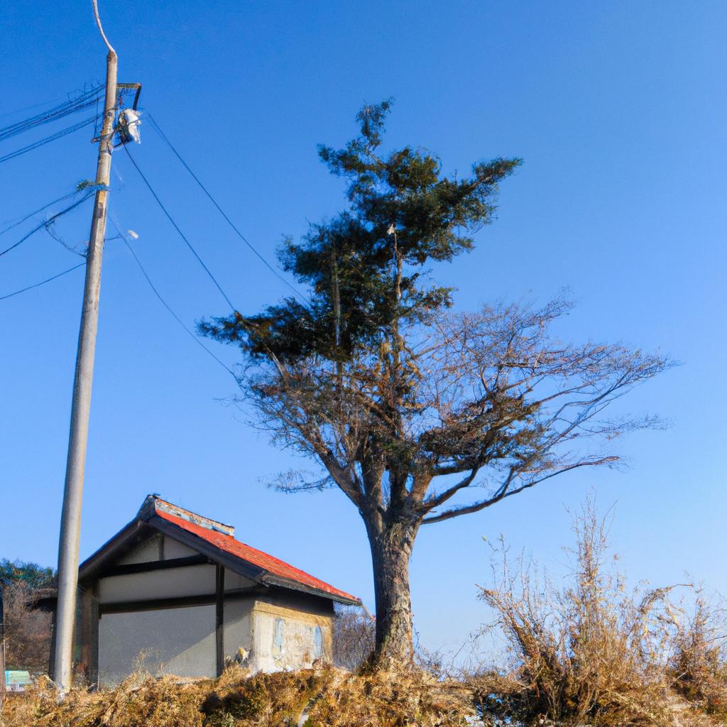 長野県佐久市での新たなスタートを切るチャンス！